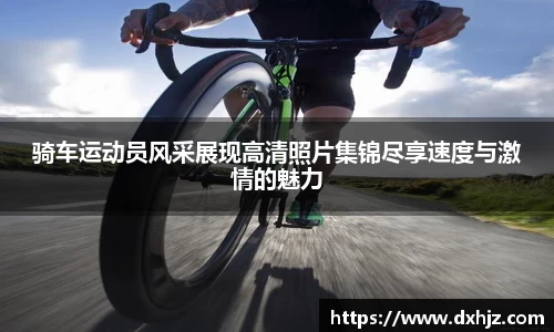 3377体育官网