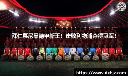 3377体育官网