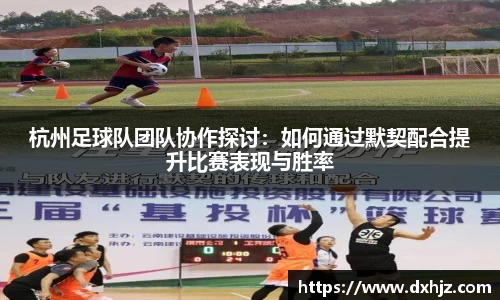 3377体育官网
