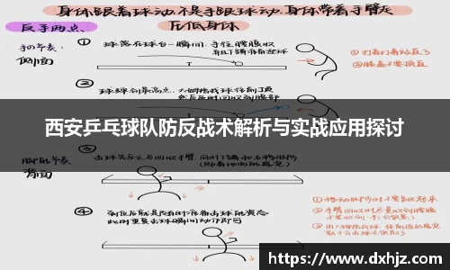 3377体育app