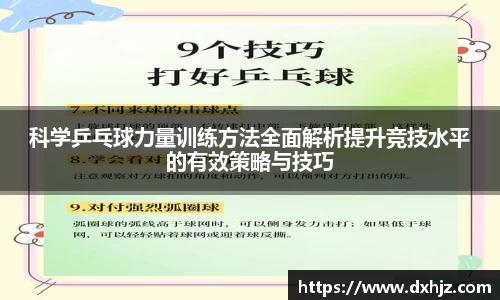 3377体育