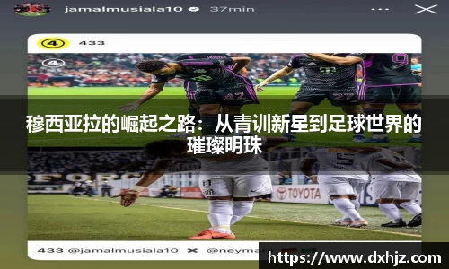 3377体育官网