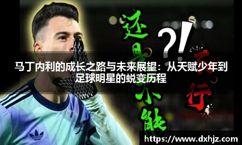 3377体育