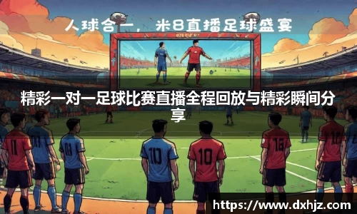6T体育