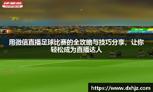 6T官方网站
